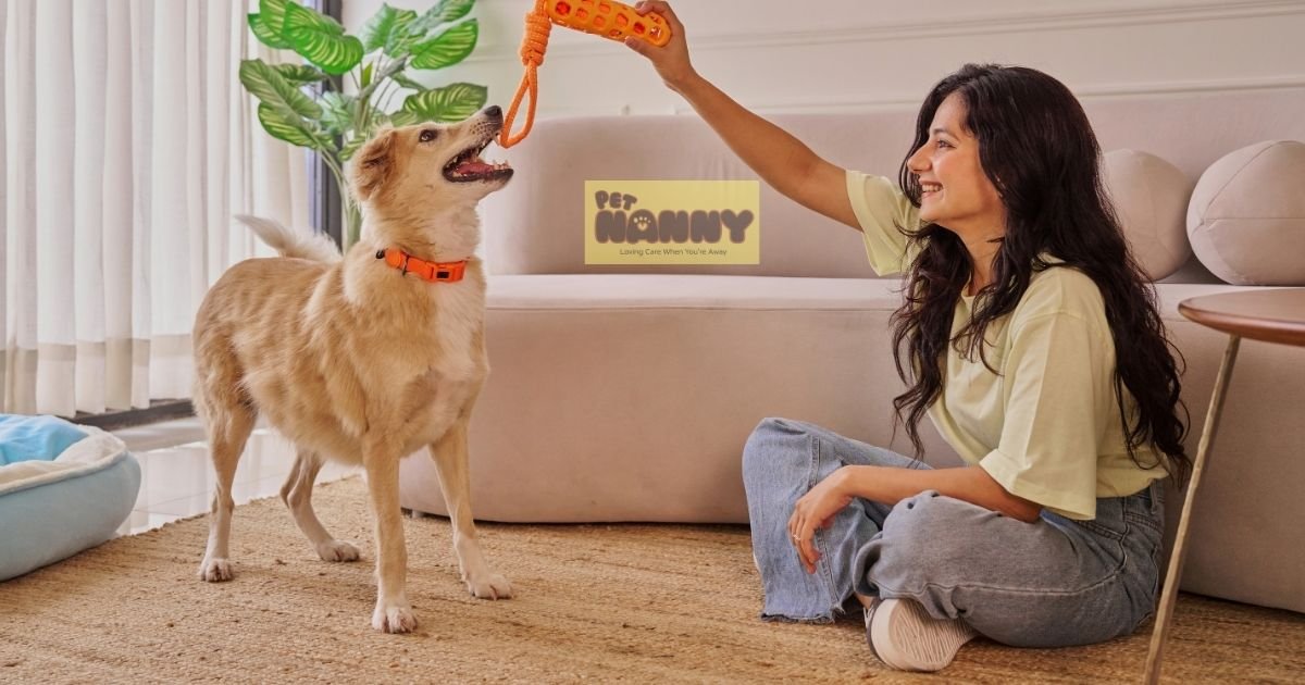 Pet Nanny in Daet: A Furparent’s Simple Idea That Became Something Special
