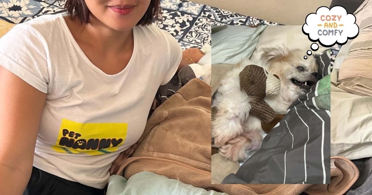 pet nanny in daet