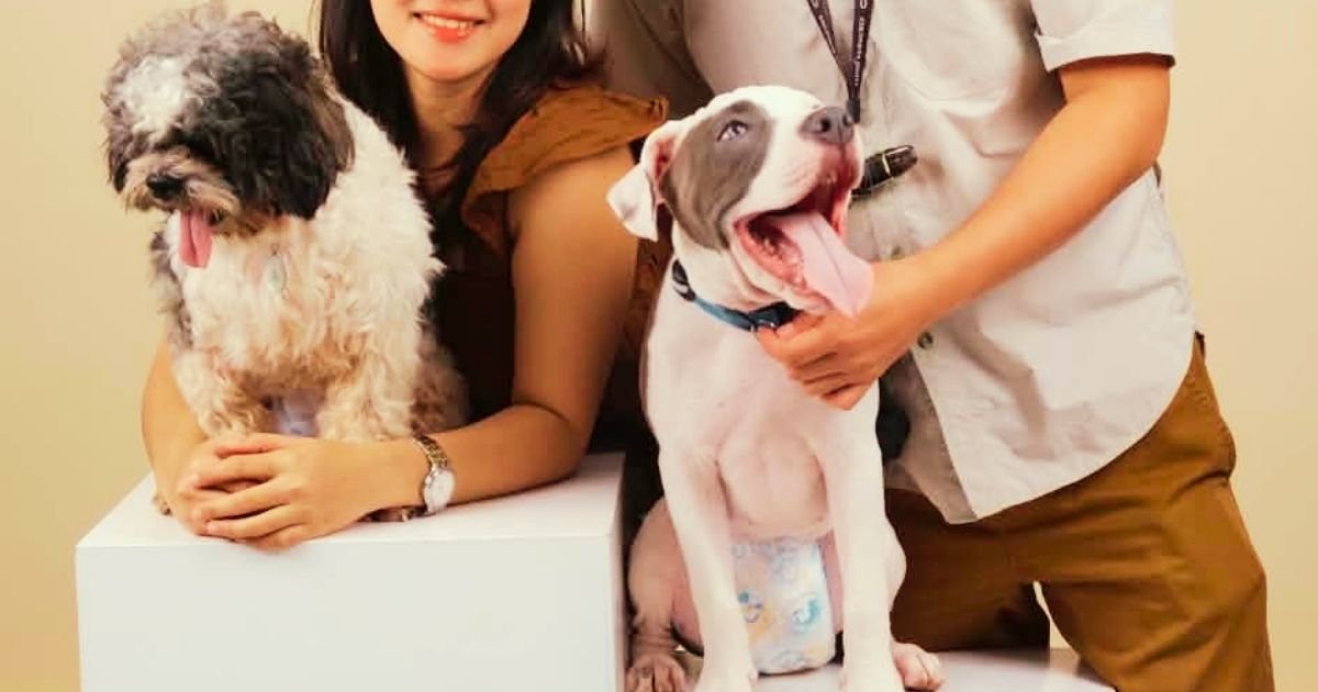 pet nanny in daet