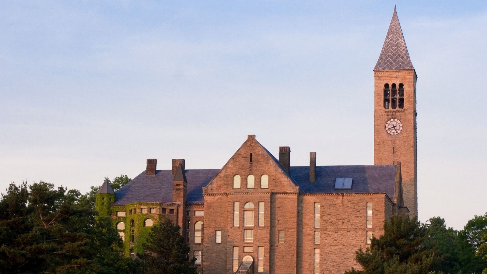 The Cornell Sexual Assault Case Explained: What Allegedly Happened, the Essay Controversy, and Where the Case Stands